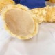 【團購商品,10隻起做】NKUST微笑小熊_藍 【團購商品,10隻起做】NKUST微笑小熊_藍