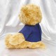 【團購商品,10隻起做】NKUST微笑小熊_藍 【團購商品,10隻起做】NKUST微笑小熊_藍
